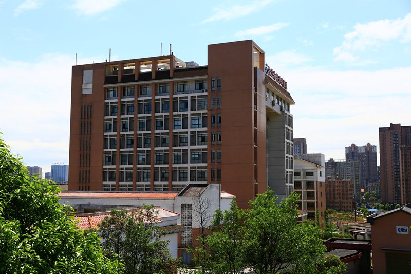 ������Ժ�ڻ���