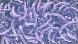 �＾������Ⱦ�Լ�����Ԥ��