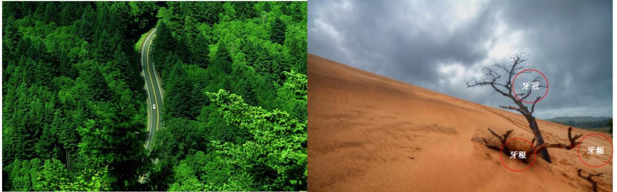 �����˵Ŀ�ǻ����