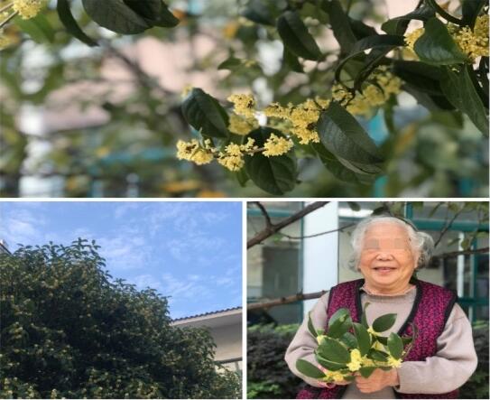 ʱ�����ߣ����¾���