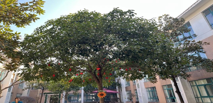 ԰�ջ������մ������е�Ӧ��