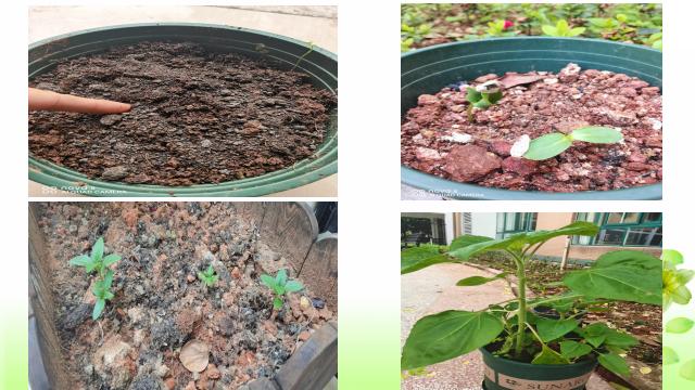 ԰�ջ������մ������е�Ӧ��